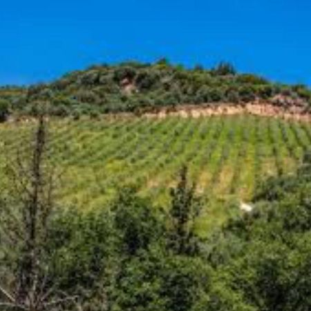 Mystras Inn Eksteriør bilde